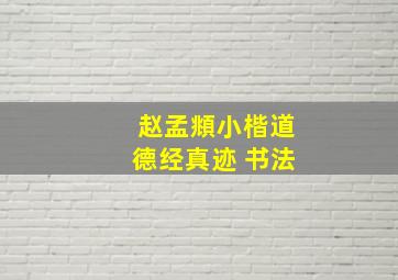 赵孟頫小楷道德经真迹 书法